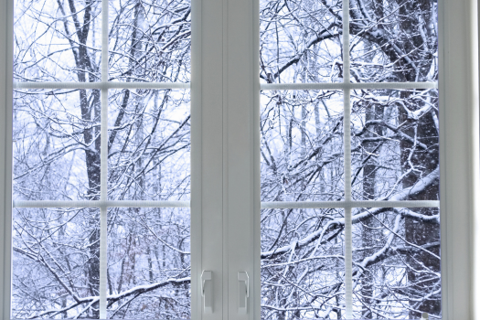 pimapen kışlık bakımı çayyolu