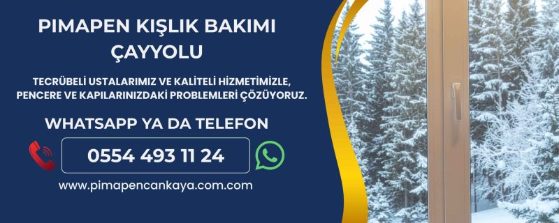 pimapen kışlık bakımı çayyolu